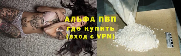 дживик Белокуриха