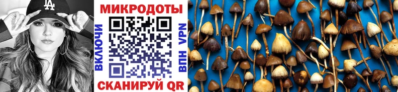 Галлюциногенные грибы Cubensis  Боровичи 