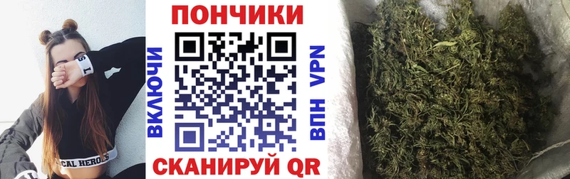 закладка Боровичи Шишки марихуана семена